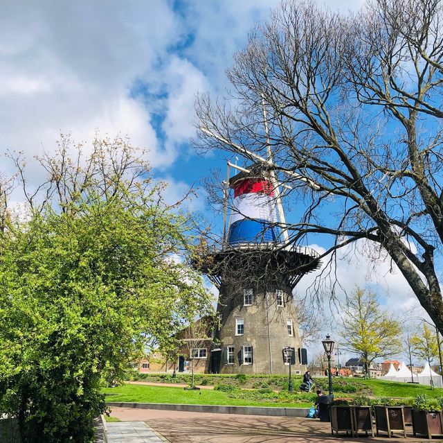 🇳🇱荷蘭萊頓Leiden🖼️🎡市區風車美景📍 Molen De Valk Molenmuseum De Valk