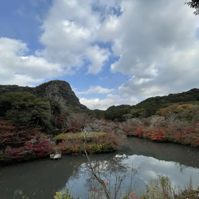 推薦御船山樂園賞楓遊：優惠晚上入場，適合秋天晚上賞楓