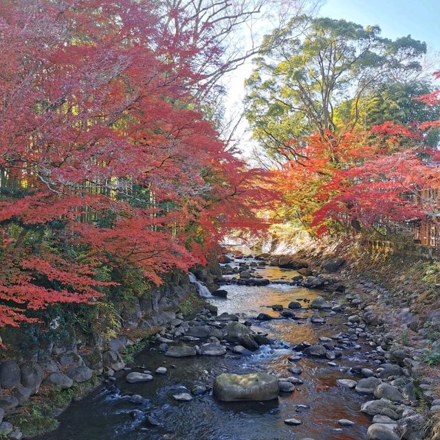 autumn vibes at Shuzenji Temple