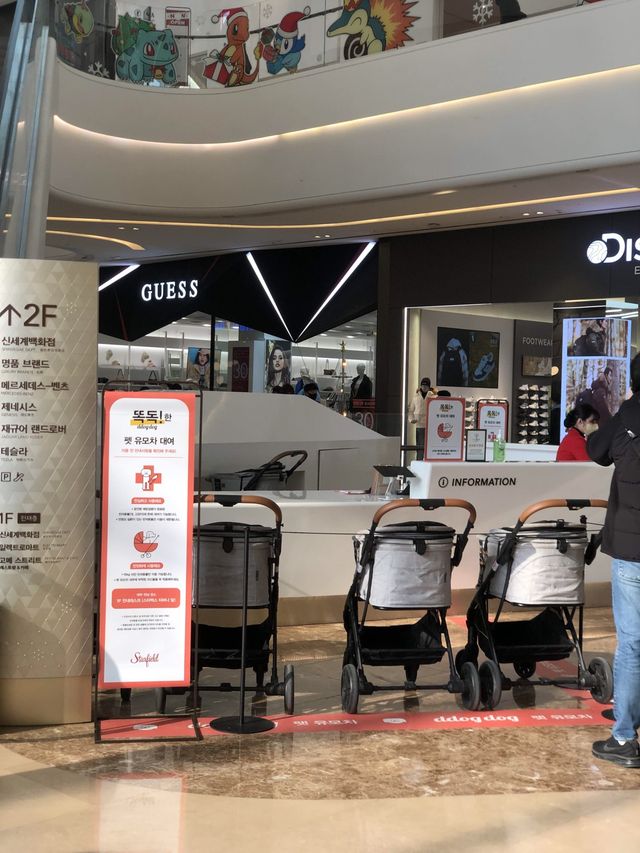 반려동물 동반 가능한 실내 데이트 코스 추천 ‘하남 스타필드’ 🐶🛍️