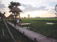 นาข้าว คาเฟ่