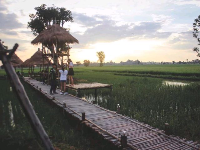 นาข้าว คาเฟ่