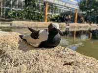 可愛い動物にたくさん会える神戸どうぶつ王国