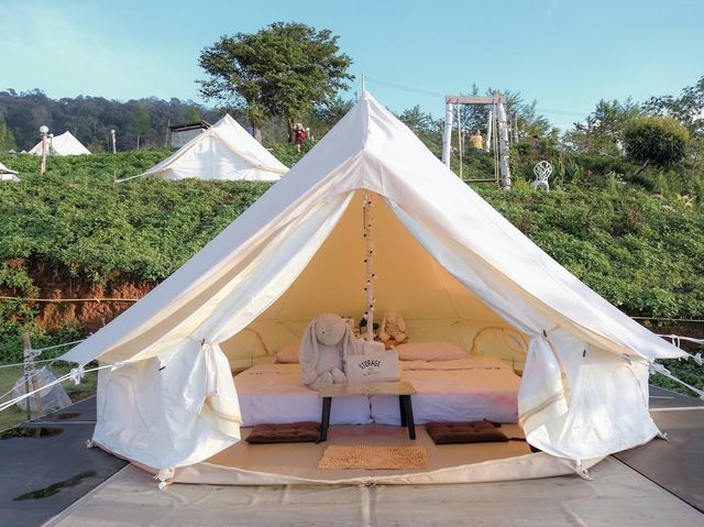 CAMP Phuchifa แคมป์ภูชี้ฟ้า 