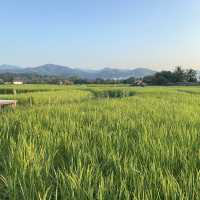 Phrae, A Hidden Gem in Northern Thailand