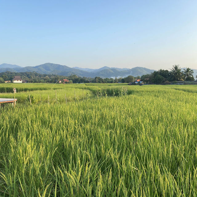 Phrae, A Hidden Gem in Northern Thailand