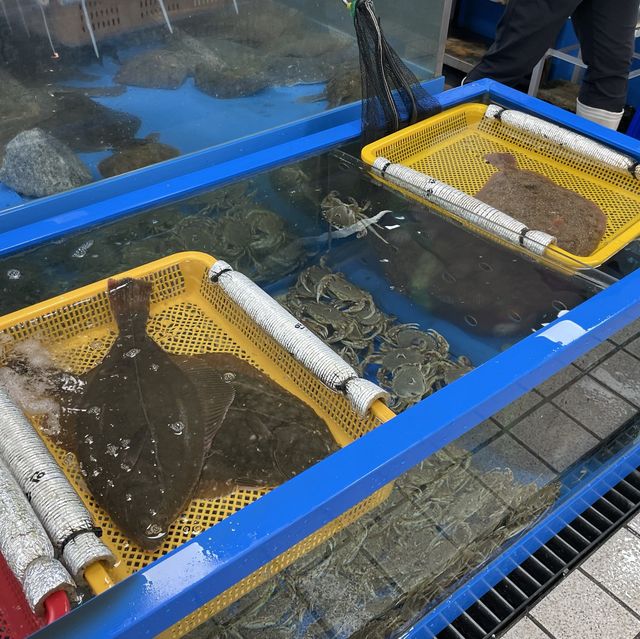 푸짐한 인심, 신선한 횟감 강릉항 회센터 솔향 횟집🐠