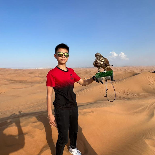 夜遊杜拜沙漠🏜️