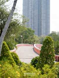 ปิคนิครับลมที่สวนจตุจักร