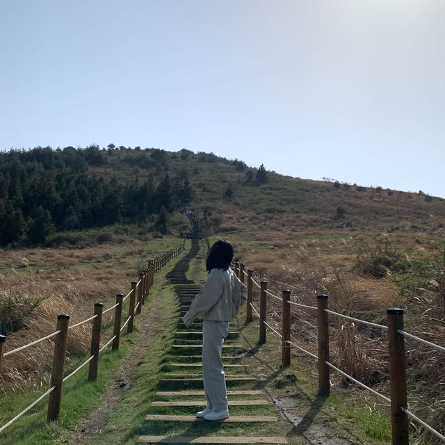 백약이오름 오르기🏃‍♀️