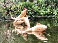 Journey through Hong Kong Gold Coast