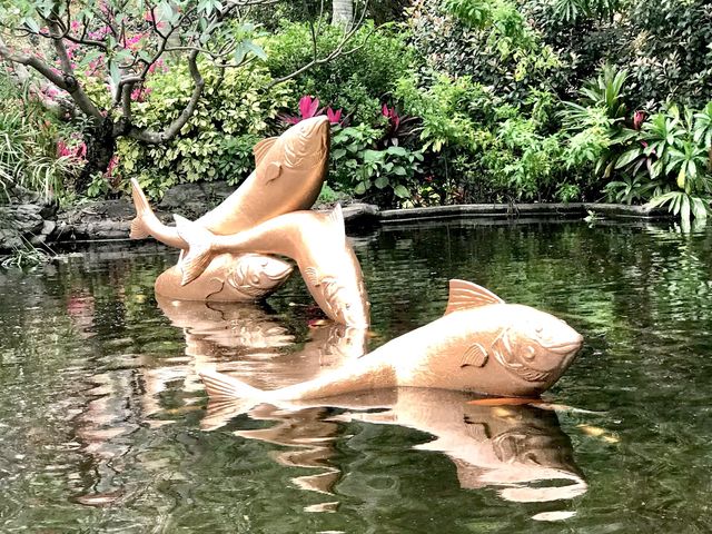 Journey through Hong Kong Gold Coast