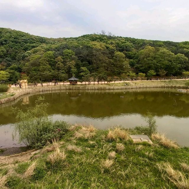 4월30일까지  군포철쭉동산  