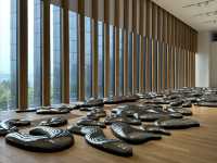 香港展覽 | M+ | 草間彌生：一九四五年至今