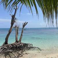 cebu マラパスクアへ