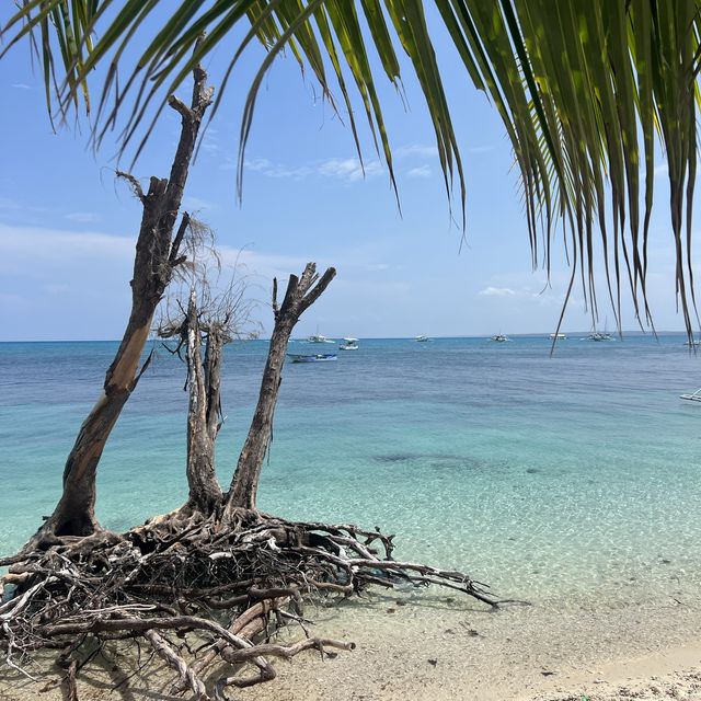 cebu マラパスクアへ