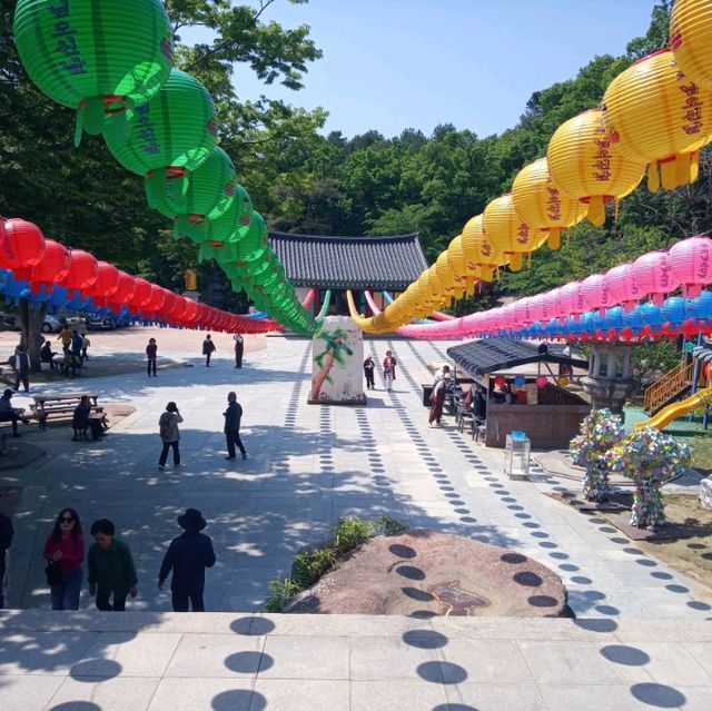 만여개에 연등이 가득한 팔공산 동화사 대웅전 앞에서다
