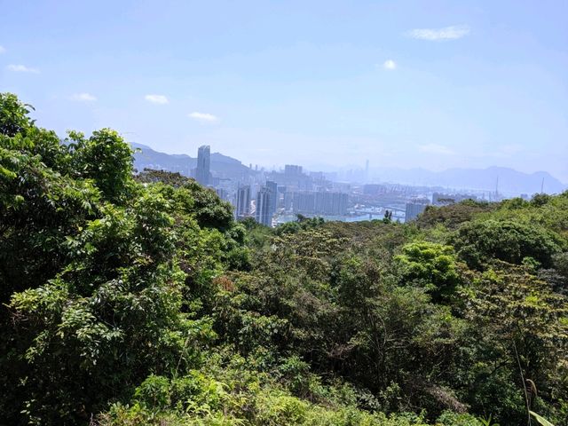 荃灣行山新手路線，超靚景，絕對值得去！