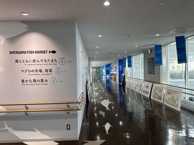 宮城県・塩釜。『塩竈市魚市場』のセリが見学できるミュージアム『おさかなミュージアムseri-miru』