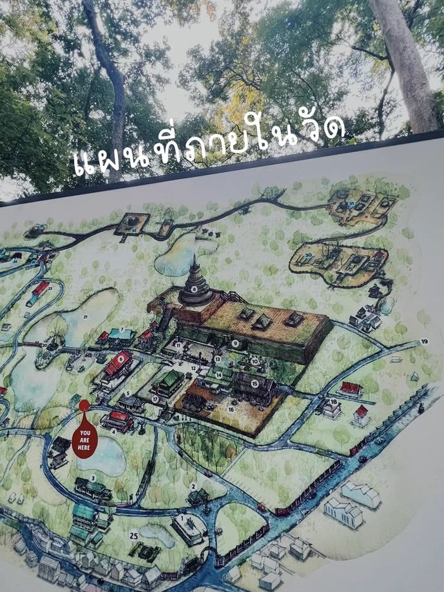 พามาวัดสวย ให้อาหารปลา ไหว้พระ 🙏