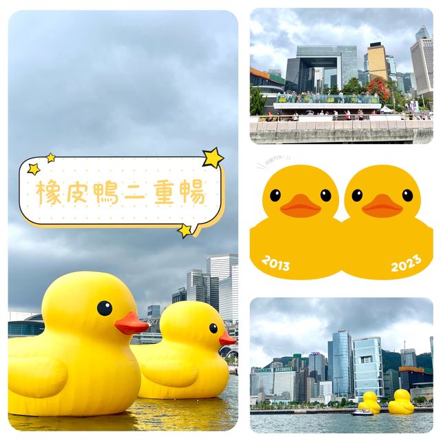 橡皮鴨二重𣈱-巨型黃鴨十年後重回香港