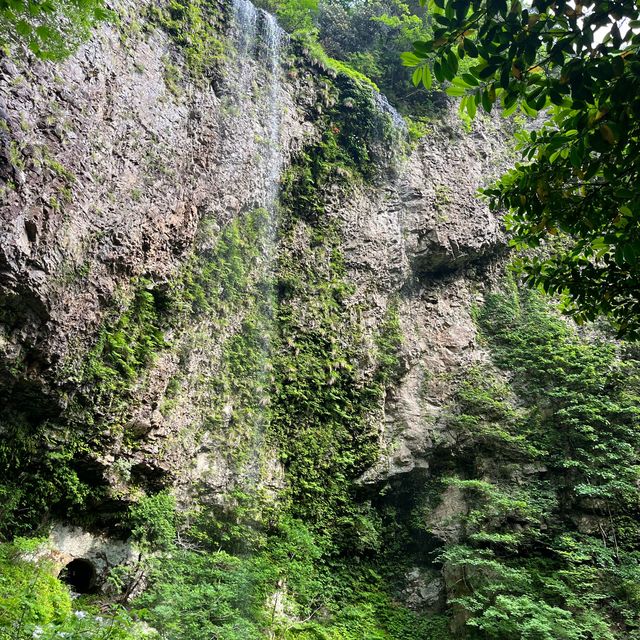 【隠岐の島】秘境　壇鏡の滝