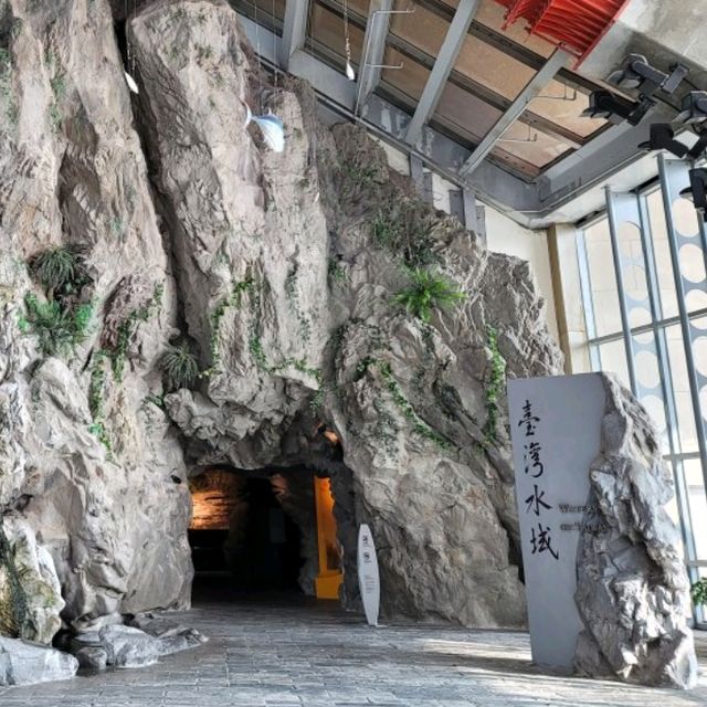 海洋生態教育博物館🎓💕
