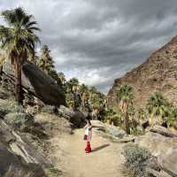Indian Canyon, Palm Springs อเมริกา