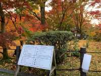 เที่ยวใบไม้เปลี่ยนสี เกียวโต วัดเอกันโดเซ็นริน 🍁⛩️
