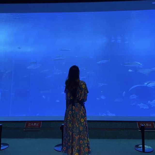 📍美ら海水族館/沖縄