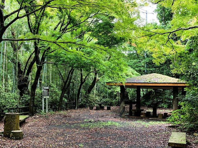 เดินป่าสำรวจอุทยานธรรมชาติ บนภูเขา🌳🏕️