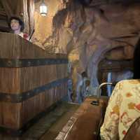 Shanghai Disney land tips