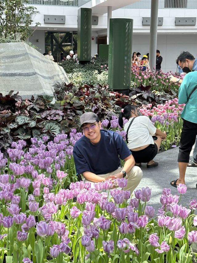 Miracle of Natural ฟาร์มดอกไม้เมืองหนาว ระยอง