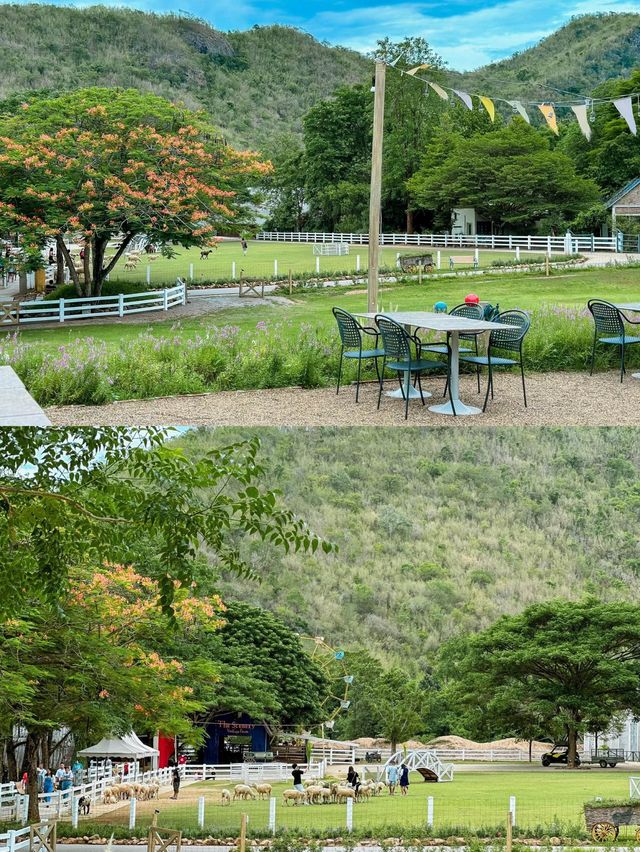 📸 รีวิวคาเฟ่ : 𝑻𝒉𝒆 𝑺𝒄𝒆𝒏𝒆𝒓𝒚 𝑽𝒊𝒏𝒕𝒂𝒈