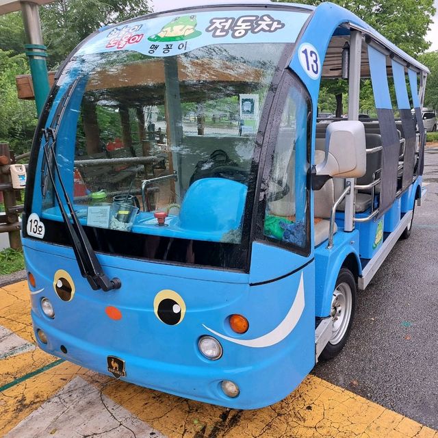 韓國景點📸天空公園🥰親親大自然⭐打卡熱點😍