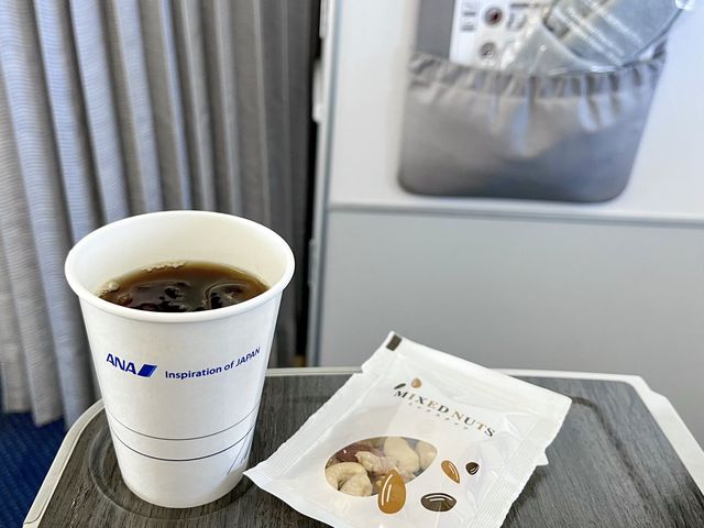 【NH】羽田→宮崎 プレミアムクラス✈️