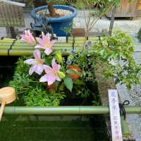 【京都府】暑い夏におすすめしたい朝散歩で錦天満宮を参拝！