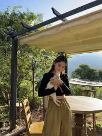 ไปเที่ยว Mori Natural Farm ที่เชียงใหม่กัน!🌳