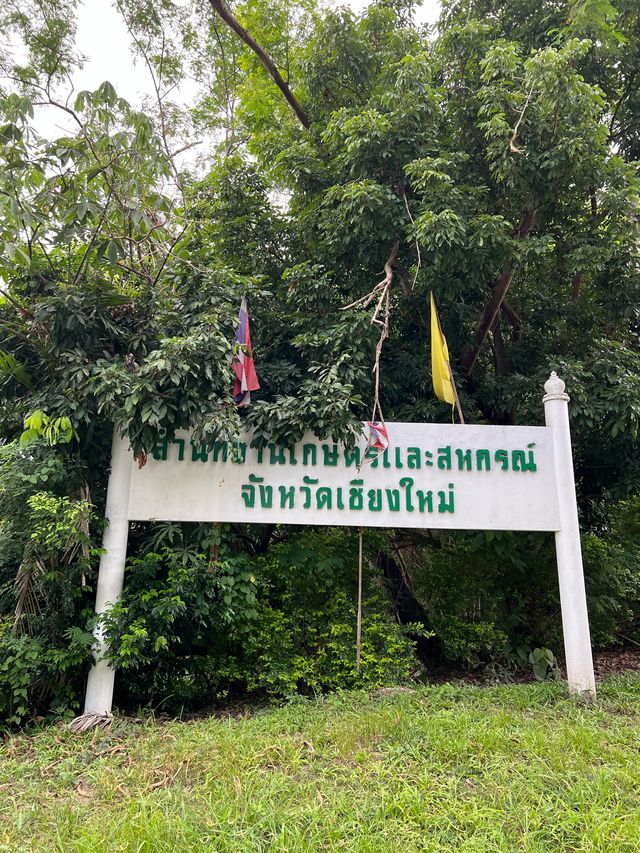 อ่างเก็บน้ำกาแล