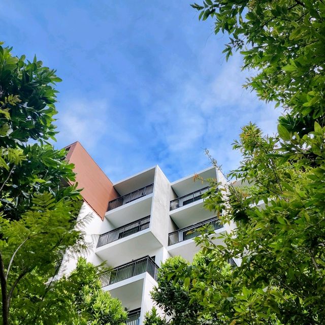 โรงแรม 4 ดาวพัทยา ราคาเบา พาน้องหมาน้องแมวมาได้!