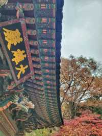 한적하게 거닐기 좋은 아름다운 홍룡사🍂