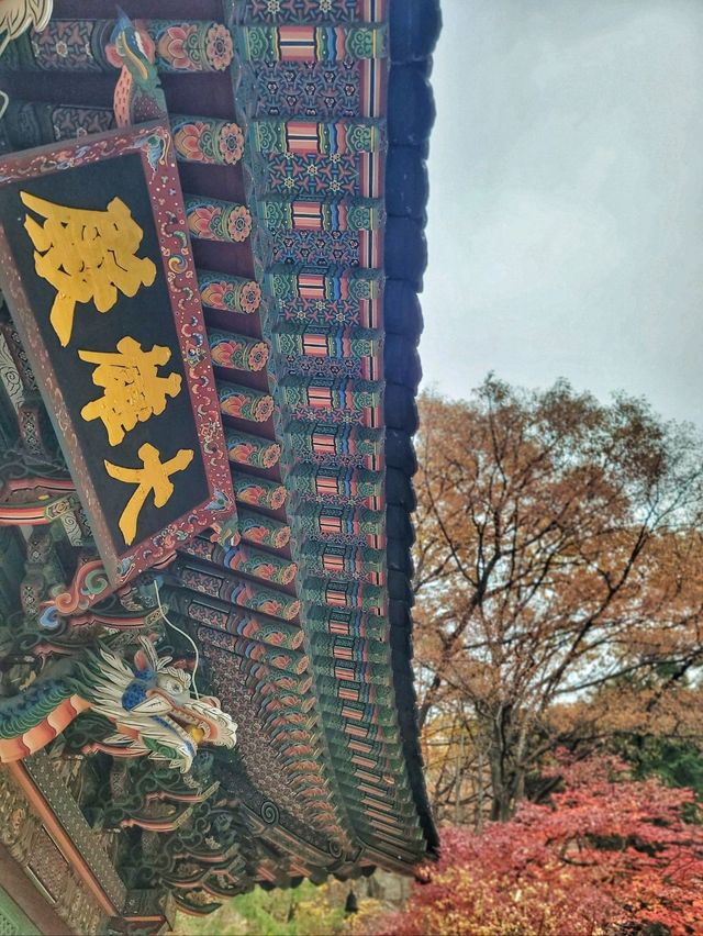 한적하게 거닐기 좋은 아름다운 홍룡사🍂