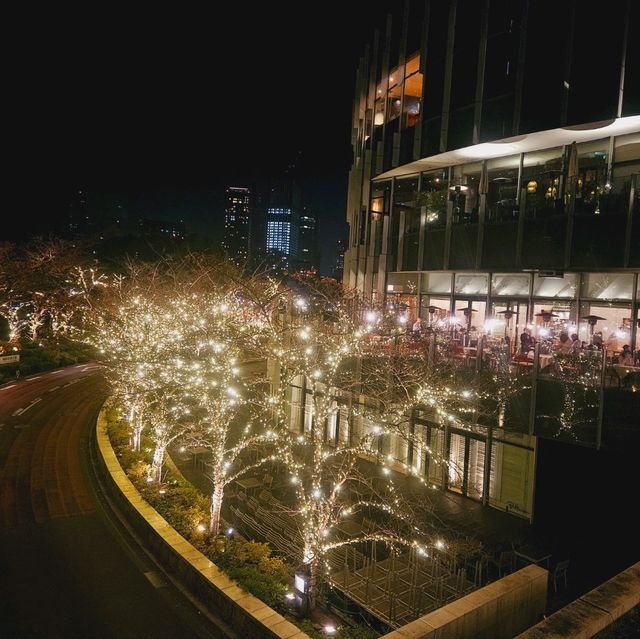 Magical Illuminations at Roppongi