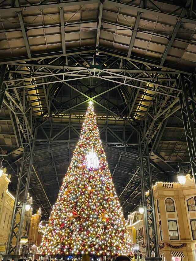 【2023年行ってよかった！】40周年イベント開催中のディズニーランドクリスマス2023