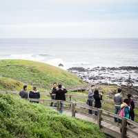 Australia Philip Island's Breathtaking Views 