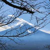 Will I ever get to stand on top of Fuji-san?