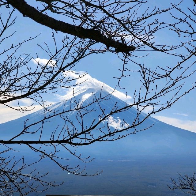 Will I ever get to stand on top of Fuji-san?