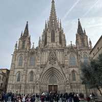 바르셀로나 대성당 주말에 방문해서 마켓도 구경하기!