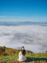 등산안하고 하늘위의 신선이 기분 만끽 가능한 별마루천문대☁️