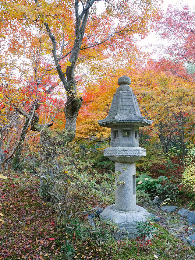 京都景點｜嵐山精緻的賞楓名所——寶筐院